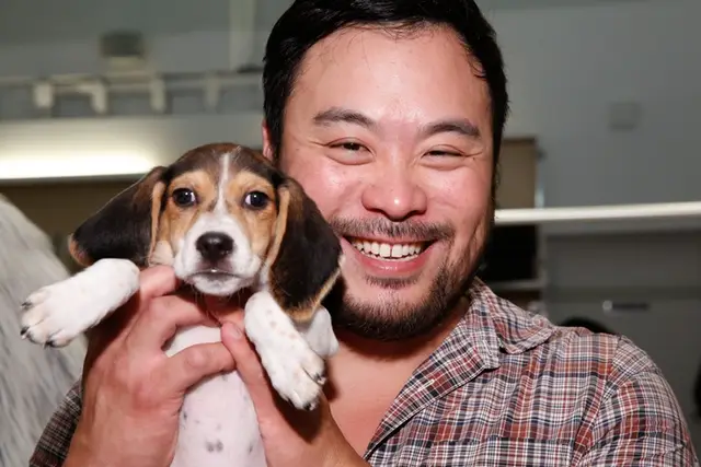 Here's Chang with a puppy, just because